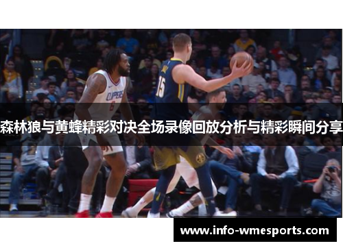 森林狼与黄蜂精彩对决全场录像回放分析与精彩瞬间分享