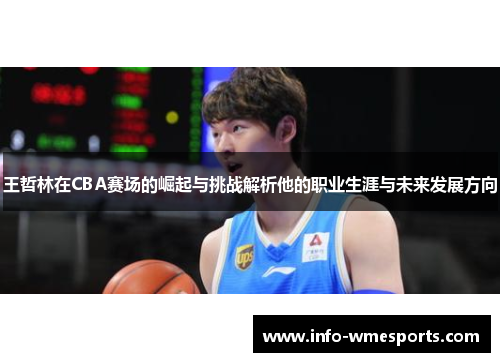 王哲林在CBA赛场的崛起与挑战解析他的职业生涯与未来发展方向