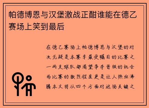 帕德博恩与汉堡激战正酣谁能在德乙赛场上笑到最后