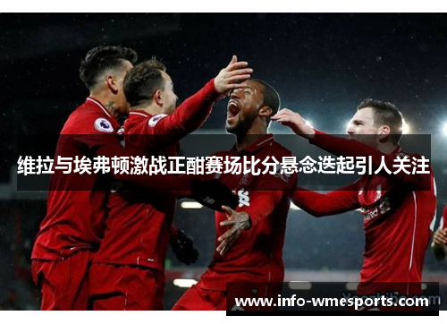 维拉与埃弗顿激战正酣赛场比分悬念迭起引人关注